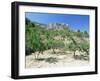 Almond Trees in the Sierra De Aitana, Alicante Area, Valencia, Spain-Ruth Tomlinson-Framed Photographic Print