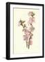 Almond-Frederick Edward Hulme-Framed Giclee Print