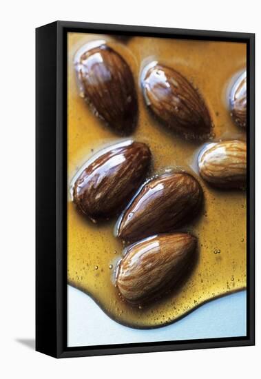 Almonds in Caramel-Marc O^ Finley-Framed Stretched Canvas