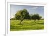 Almonds, Majorca, the Balearic Islands, Spain-Rainer Mirau-Framed Photographic Print