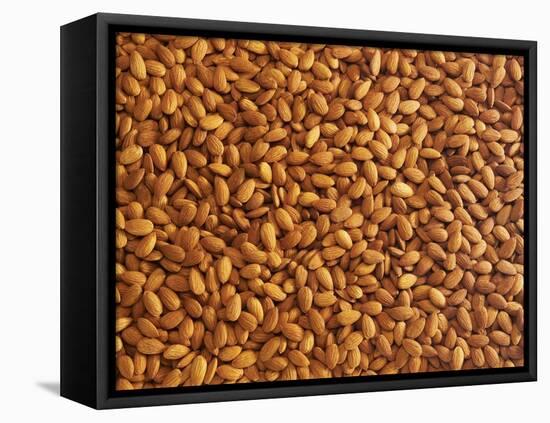 Almonds-Janez Puksic-Framed Stretched Canvas