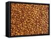 Almonds-Janez Puksic-Framed Stretched Canvas