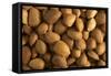 Almonds-null-Framed Stretched Canvas