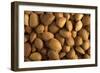 Almonds-null-Framed Photographic Print