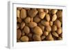 Almonds-null-Framed Photographic Print