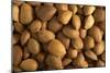 Almonds-null-Mounted Photographic Print