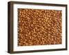 Almonds-Janez Puksic-Framed Photographic Print