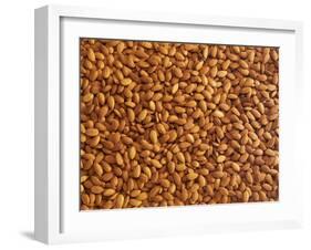 Almonds-Janez Puksic-Framed Photographic Print