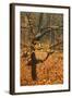 Almost Bare Trees in Autumn, Rynartice, Ceske Svycarsko - Bohemian Switzerland Np, Czech Republic-Ruiz-Framed Photographic Print