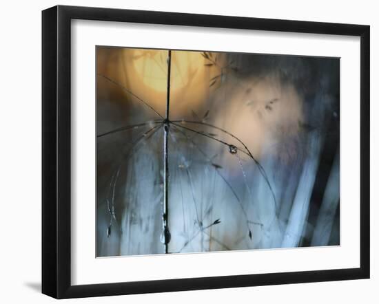 Almost Dark-Heidi Westum-Framed Giclee Print