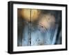 Almost Dark-Heidi Westum-Framed Giclee Print