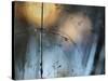 Almost Dark-Heidi Westum-Stretched Canvas