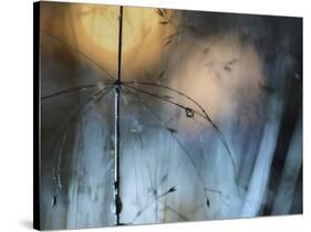 Almost Dark-Heidi Westum-Stretched Canvas