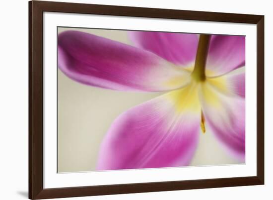 Almost Hidden-Heidi Westum-Framed Photographic Print