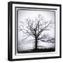 Almost Spring-Erin Clark-Framed Giclee Print