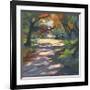 Almost Summer-Karen Mathison Schmidt-Framed Giclee Print