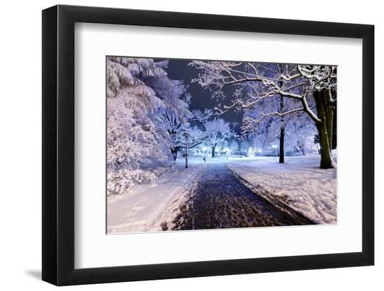 Premium Photographic Print, , large