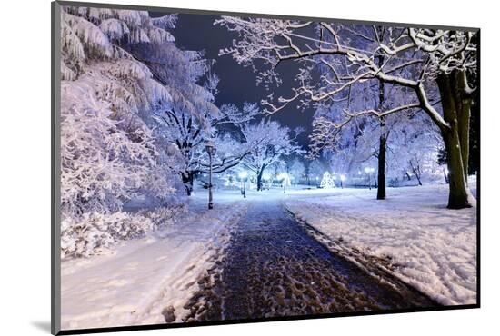 Photographic Print, , large
