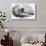 Alms House, Blackwell's Island-null-Giclee Print displayed on a wall