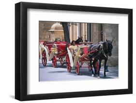 Almudaina Palma Mallorca Spain-null-Framed Art Print