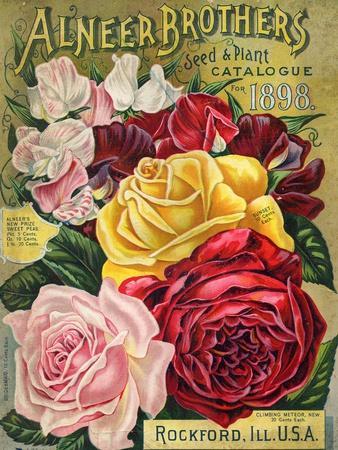 https://imgc.allpostersimages.com/img/posters/alneer-brothers-seed-and-plant-catalogue-1898_u-L-Q1I0XRO0.jpg?artPerspective=n