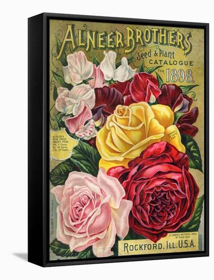 Alneer Brothers Seed and Plant Catalogue, 1898-null-Framed Stretched Canvas