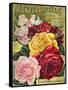 Alneer Brothers Seed and Plant Catalogue, 1898-null-Framed Stretched Canvas