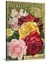 Alneer Brothers Seed and Plant Catalogue, 1898-null-Stretched Canvas