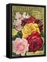 Alneer Brothers Seed and Plant Catalogue, 1898-null-Framed Stretched Canvas