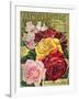 Alneer Brothers Seed and Plant Catalogue, 1898-null-Framed Art Print