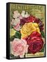 Alneer Brothers Seed and Plant Catalogue, 1898-null-Framed Stretched Canvas