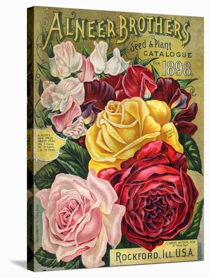 Alneer Brothers Seed and Plant Catalogue, 1898-null-Stretched Canvas