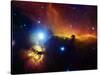 Alnitak Region in Orion (Flame Nebula NGC2024, Horsehead Nebula IC434)-Stocktrek Images-Stretched Canvas