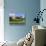 Alnwick Castle, Alnwick, Northumberland, England-Lee Frost-Photographic Print displayed on a wall