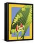 Alocasia-David Chestnutt-Framed Stretched Canvas