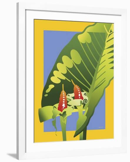 Alocasia-David Chestnutt-Framed Giclee Print