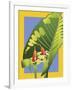 Alocasia-David Chestnutt-Framed Giclee Print