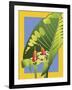 Alocasia-David Chestnutt-Framed Giclee Print