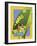 Alocasia-David Chestnutt-Framed Giclee Print