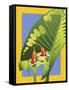 Alocasia-David Chestnutt-Framed Stretched Canvas