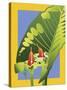 Alocasia-David Chestnutt-Stretched Canvas