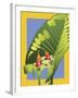 Alocasia-David Chestnutt-Framed Giclee Print