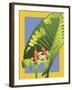 Alocasia-David Chestnutt-Framed Giclee Print