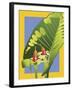 Alocasia-David Chestnutt-Framed Giclee Print