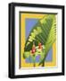 Alocasia-David Chestnutt-Framed Giclee Print