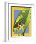 Alocasia-David Chestnutt-Framed Giclee Print