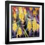 Aloe Buds-Ken Bremer-Framed Giclee Print