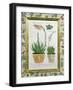 Aloe, C.1740-Johann Wilhelm Weinman-Framed Giclee Print