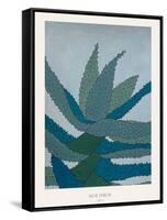 Aloe Ferox-Annika John-Framed Stretched Canvas