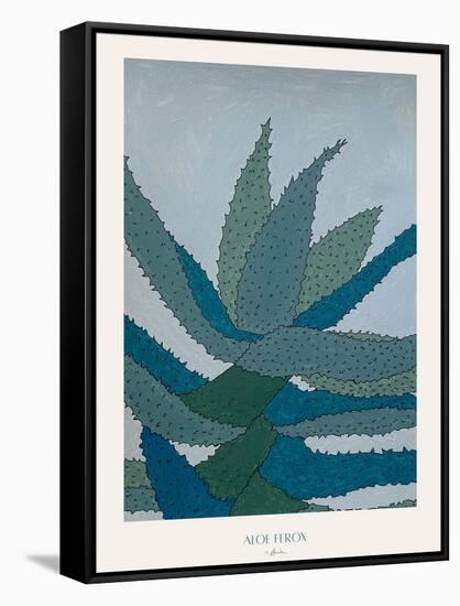 Aloe Ferox-Annika John-Framed Stretched Canvas